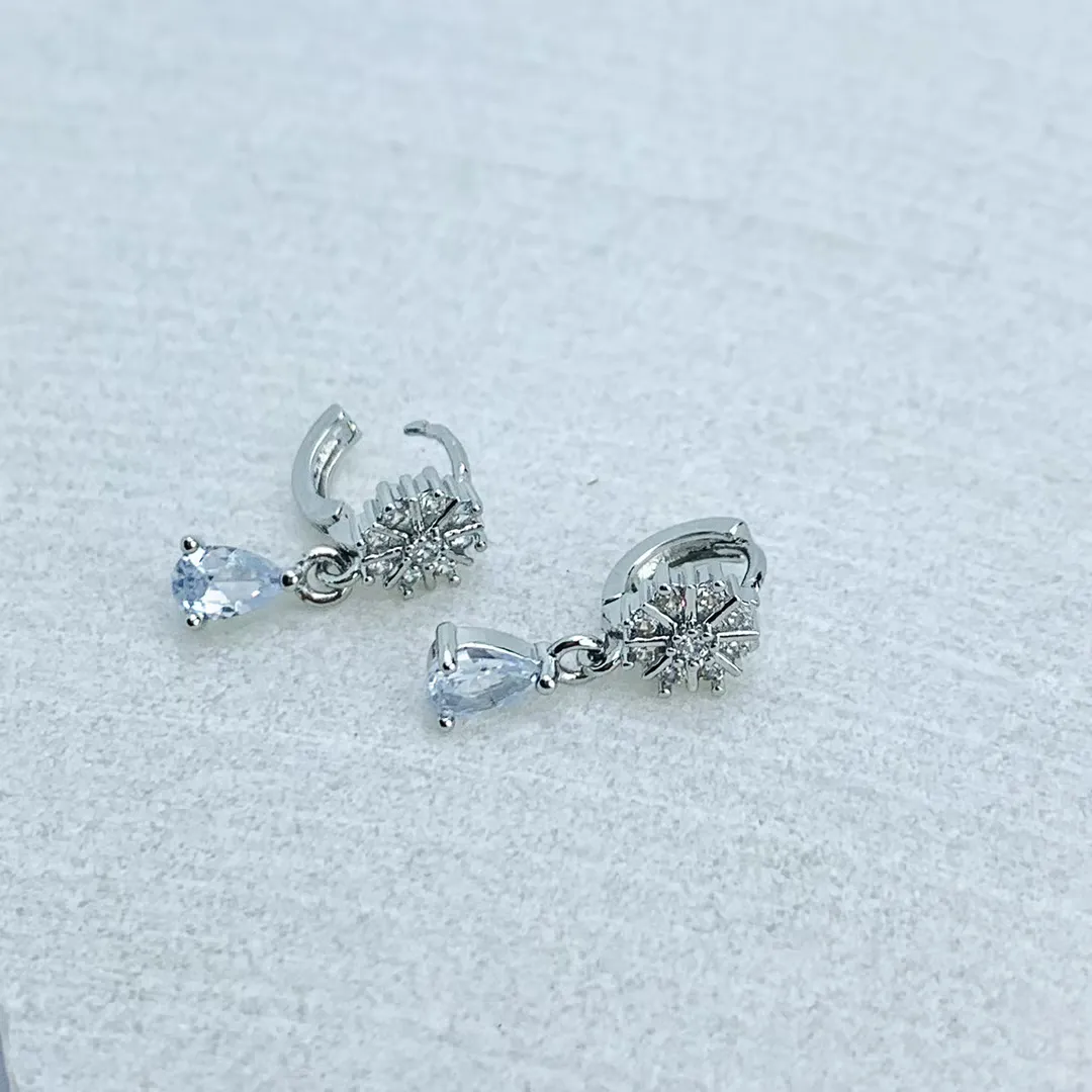 Silver Earings 1